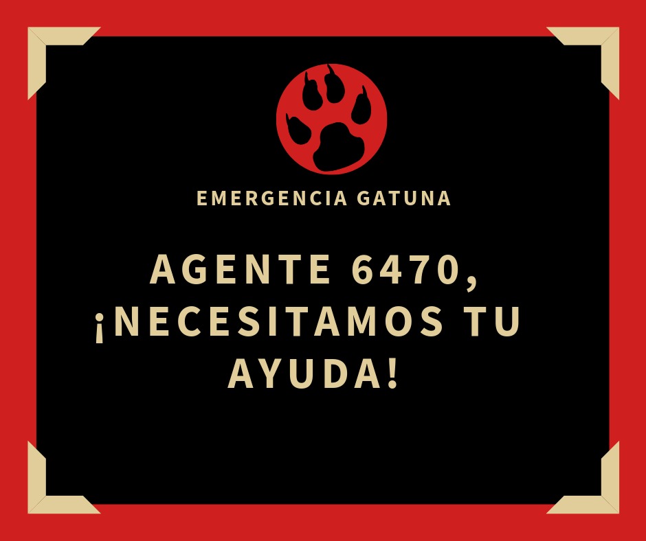 Logo del juego emergencia gatuna Agente 6470